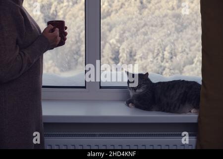 Una donna e un gatto in una finestra d'inverno con alberi nella neve. PET sul davanzale con nevicate dietro il vetro Foto Stock