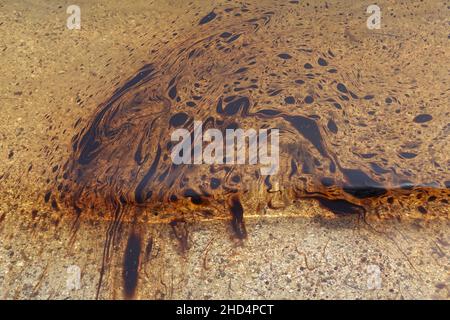 Catrame naturale sulla superficie dell'acqua di mare. Spiaggia inquinata. Foto Stock