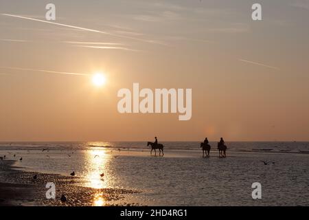 Vista panoramica di tre silhouette a cavallo sulla spiaggia al tramonto a Nieuwpoort, Belgio Foto Stock