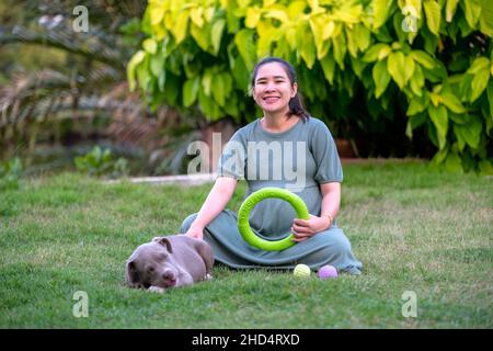 Cane mamma felice incinta giocando all'erba , cane cucciolo tagliato e divertente , cane bullo americano , cane cucciolo Foto Stock