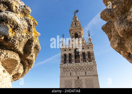 Sevilla, Spagna. La torre Giralda vista dal tetto della Cattedrale Foto Stock