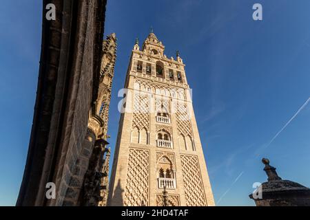 Sevilla, Spagna. La torre Giralda vista dal tetto della Cattedrale Foto Stock