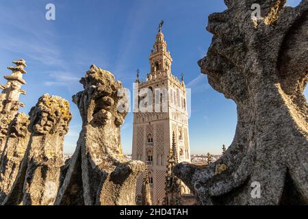 Sevilla, Spagna. La torre Giralda vista dal tetto della Cattedrale Foto Stock