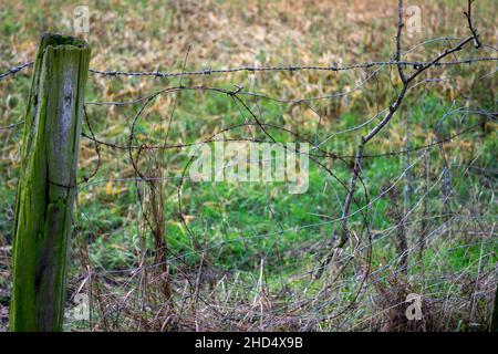 vecchia recinzione di filo dentato arrugginito rotta Foto Stock