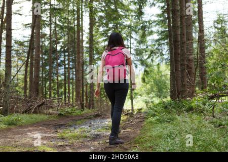 Donna che si fa un'escursione su un sentiero di ghiaia. Vista posteriore Foto Stock