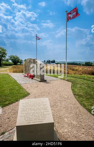 Memoriale al decimo Battaglione del reggimento di Paracadute. Foto Stock