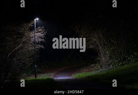 Una luce di strada illumina l'ambiente circostante su un sentiero rurale che rende gli alberi circostanti scultorei, Redditch, Worcestershire. Foto Stock