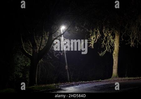 Una luce di strada illumina l'ambiente circostante su un sentiero rurale che rende gli alberi circostanti scultorei, Redditch, Worcestershire. Foto Stock