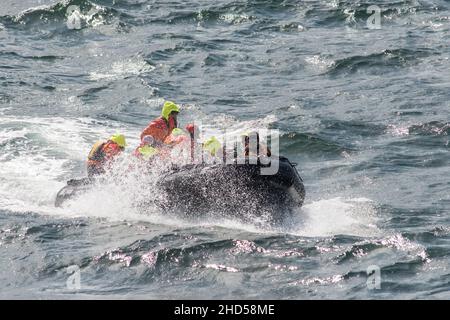 i turisti in gomma, barca zodiacale di ritorno alla nave da crociera antartico in condizioni di maltempo. Isole Saunders Isole Falkland Foto Stock