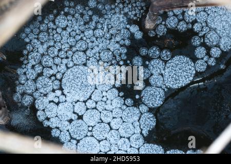bolle d'aria sul ghiaccio dopo il congelamento Foto Stock