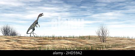 Dinosauro Compsognathus nel deserto - 3D resa Foto Stock