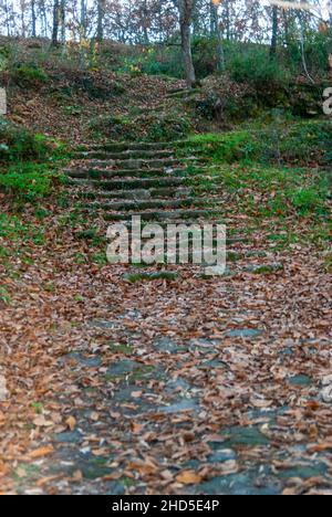 Scala in pietra naturale ricoperta di foglie di autunno gialle cadute Foto Stock