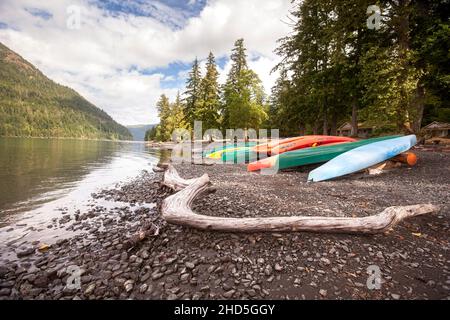 Kayak sulle rive del lago Crescent nel Parco Nazionale Olimpico. Foto Stock