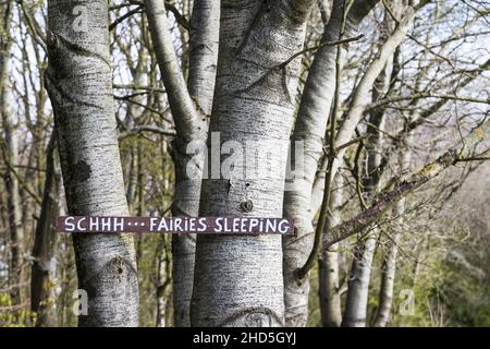Un segno di legno visto negli alberi nel bosco vicino a Wigan in Lancashire avvertimento di fate dormire. Foto Stock