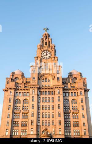 Royal Liver Building sul lungomare di Liverpool prima del tramonto. Foto Stock