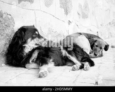 Un segno del santuario de la inmaculada, Santiago, Cile Foto Stock