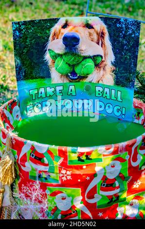 Un secchio di palle da tennis si siede accanto ad un albero di Natale per cani, 24 dicembre 2021, a Dauphin Island, Alabama. Foto Stock