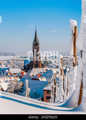 Un'antica città alsaziana sotto la neve. Il campanile della cattedrale e i tetti delle case medievali. Francia. Foto Stock