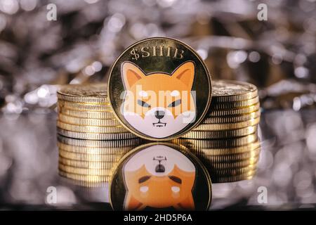 Shiba Inu criptovaluta, moneta fisica di fronte ad uno sfondo astratto Foto Stock