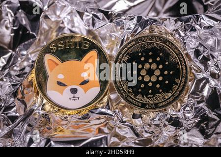 Shiba Inu e Ada criptovaluta, monete fisiche di fronte ad uno sfondo astratto. Foto Stock