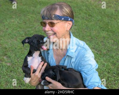 Donna matura che tiene Boxer cucciolo cane Foto Stock