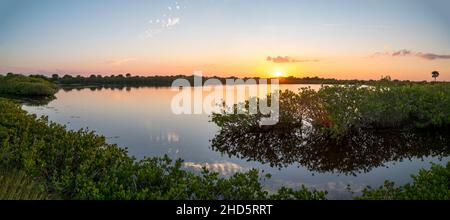 Tramonto sullo stagno di Mangrove marea al Merritt Island National Wildlife Refuge Foto Stock