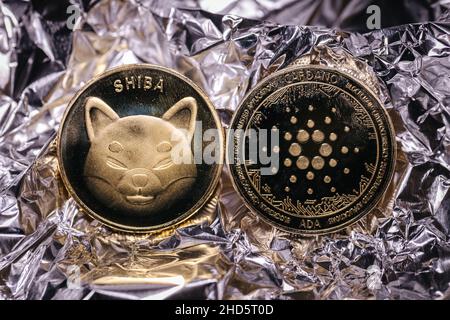 Shiba Inu e Ada criptovaluta, monete fisiche di fronte ad uno sfondo astratto. Foto Stock