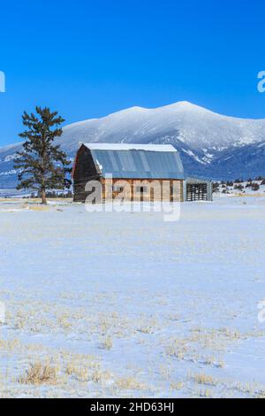 vecchio fienile di tronchi sotto il monte baldy in inverno vicino townsend, montana Foto Stock