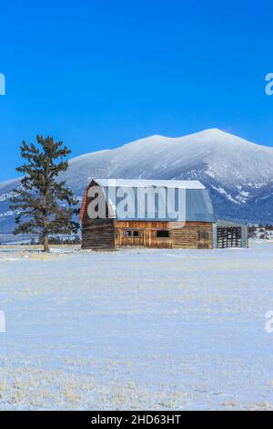 vecchio fienile di tronchi sotto il monte baldy in inverno vicino townsend, montana Foto Stock