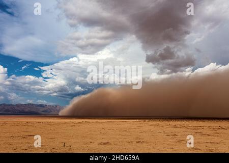 Una tempesta di polvere di Haboob nel deserto vicino a Dolan Springs, Arizona, Stati Uniti Foto Stock
