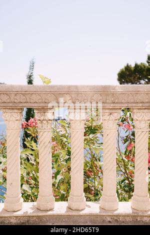 Balaustra in pietra intagliata con motivi sullo sfondo di alberi fioriti nel giardino Foto Stock