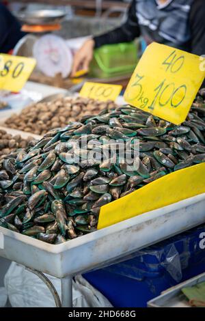 Cozze a Shelll, surgelate su ghiaccio in vendita e cuoco, nel mercato fresco. Foto Stock