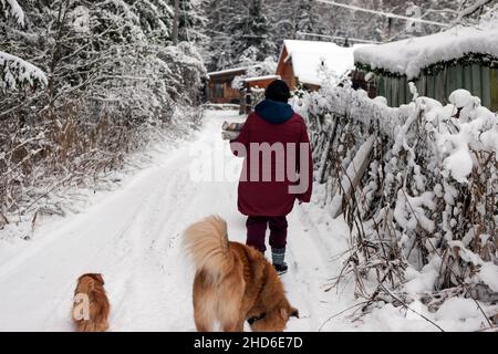 cani e donne con legna da ardere in mani camminando lungo la strada nevosa Foto Stock