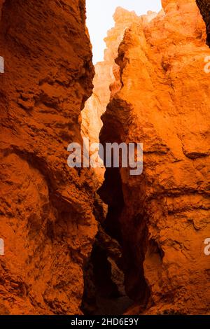 Formazioni di roccia rossa lungo il Navajo Loop Trail nel Bryce Canyon National Park - Utah, USA Foto Stock