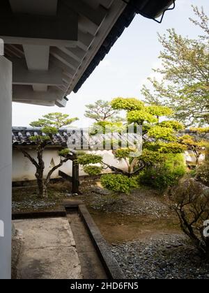 Kochi, Giappone - 6 aprile 2018: Giardino tradizionale giapponese sui terreni del castello di Kochi Foto Stock