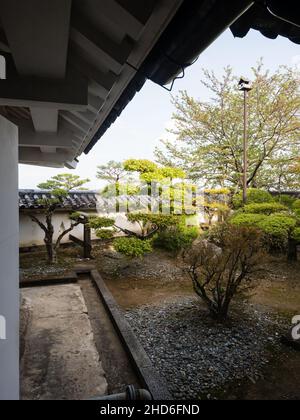 Kochi, Giappone - 6 aprile 2018: Giardino tradizionale giapponese sui terreni del castello di Kochi Foto Stock