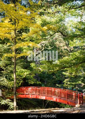 Ponte rosso sul fiume Togawa che conduce al Buddha di pietra di Manji a Shimosuwa - Prefettura di Nagano, Giappone Foto Stock