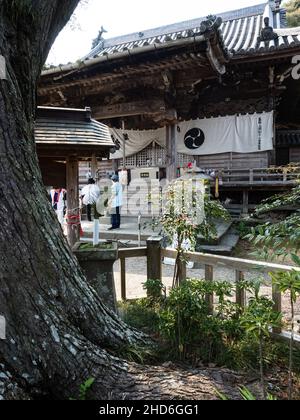 Tokushima, Giappone - 3 aprile 2018: Sul terreno di Jorakuji, tempio 14 del pellegrinaggio di Shikoku Foto Stock