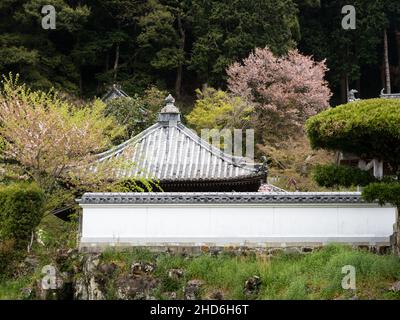 Tetti e mura di Byodoji, tempio numero 22 di pellegrinaggio Shikoku - città di Anan, Prefettura di Tokushima, Giappone Foto Stock