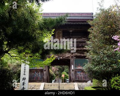 Kochi, Giappone - 6 aprile 2018: Porte di Konomineji, tempio numero 27 di Shikoku pellegrinaggio Foto Stock