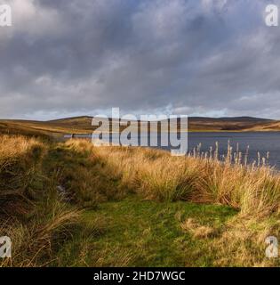 West Water Reservoir un sito RAMSAR e SSSI vicino a West Linton, Scozia Foto Stock