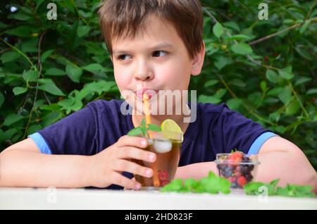 Bambino ragazzo drink naturale limonata bevanda estiva, tè con frutti di bosco, lime, lamponi e mirtilli, vacanza estiva nel parco. Rinfrescante naturale Foto Stock