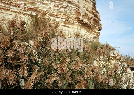 Rocce sulla riva del Mar Caspio. Foto Stock