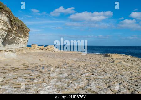 Piattaforma calcarea tagliata a onda lungo la costa di Delimara - tempo costiero, erosione, recessione scogliera. Foto Stock