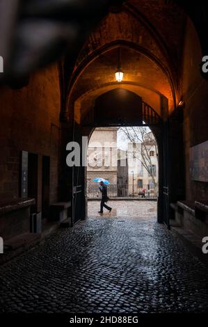 Ingresso ad arco gotico del Palazzo dei Papi ad Avignone, Francia. Foto Stock