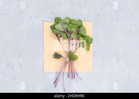 Vista dall'alto piatta di cavolo rosso fresco microgreens su fondo di cemento grigio. Stile di vita sano. Germogli crescenti. Concetto di vita verde. Cibo biologico Foto Stock