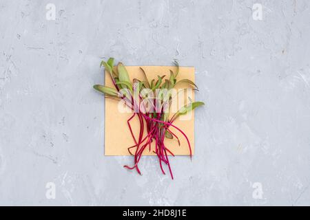 Vista dall'alto piatta dei microgreens di barbabietole fresche su fondo di cemento grigio. Stile di vita sano. Germogli crescenti. Concetto di vita verde. Cibo biologico. Foto Stock