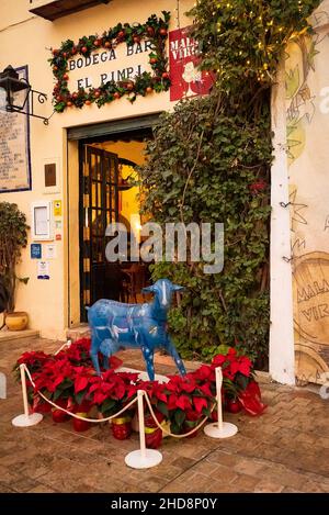 Bodega Bar el Pimpi, Malaga, Andalusia, Spagna Foto Stock