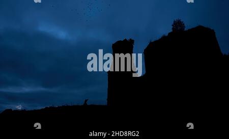 Sagoma mistica di un tempio o di un castello contro il cielo nuvoloso e corvi che volano nel cielo di notte. Video. Il grande vecchio castello di pietra sul Rock du Foto Stock