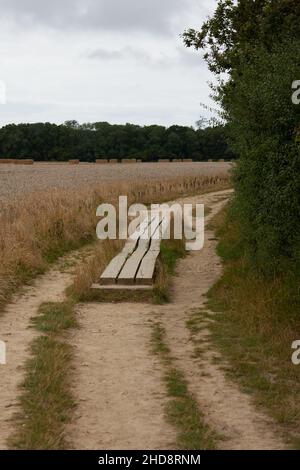 Corsia di campagna e permissivo sentiero visto nella zona del porto di Chichester. Foto Stock